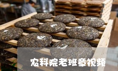 农科院老班章视频/2023032990783