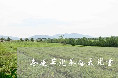 冬凌草泡茶每天用量/2023032032935