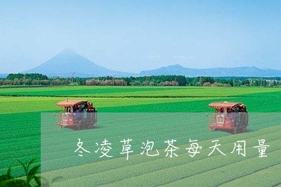 冬凌草泡茶每天用量/2023041670604