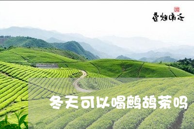 冬天可以喝鹧鸪茶吗/2023041436461