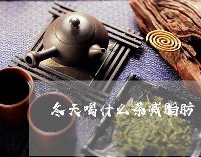 冬天喝什么茶减脂肪/2023041603805