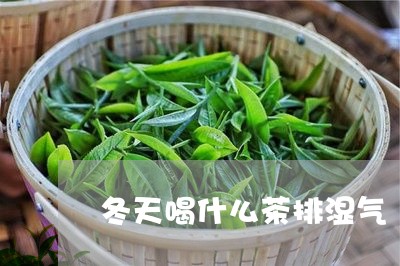 冬天喝什么茶排湿气/2023041514947