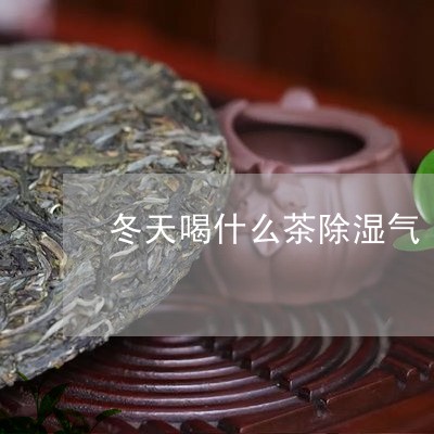 冬天喝什么茶除湿气/2023041505038