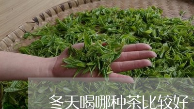 冬天喝哪种茶比较好/2023041505048