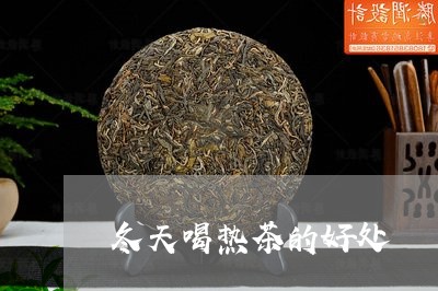 冬天喝热茶的好处/2023032580694