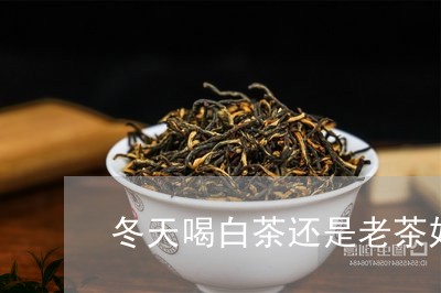 冬天喝白茶还是老茶好一点/2023040252725