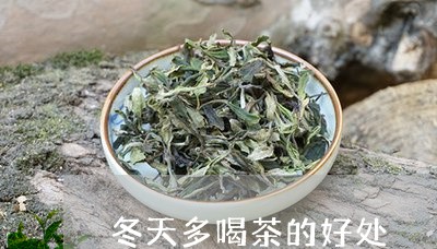 冬天多喝茶的好处/2023032507159