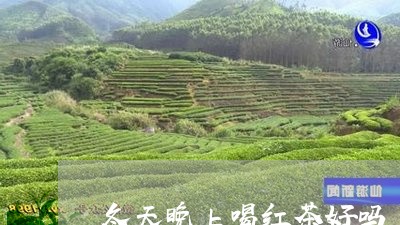 冬天晚上喝红茶好吗/2023031984079