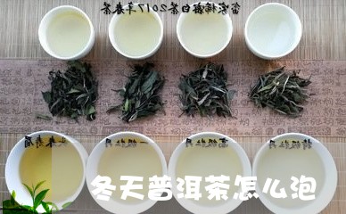 冬天普洱茶怎么泡/2023040941594