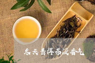 冬天普洱茶没香气/2023040932857