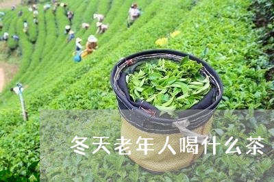 冬天老年人喝什么茶/2023041664047