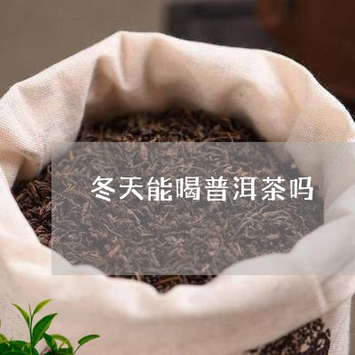 冬天能喝普洱茶吗/2023031775926