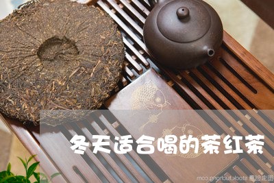 冬天适合喝的茶红茶/2023031947471