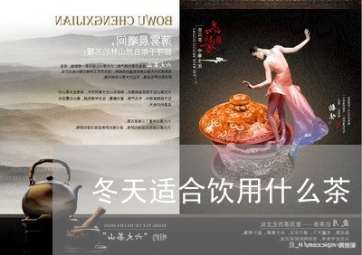 冬天适合饮用什么茶/2023031960047