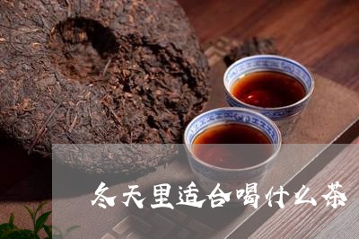 冬天里适合喝什么茶/2023032049636