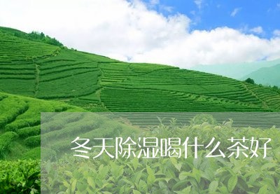 冬天除湿喝什么茶好/2023041556404