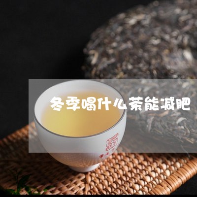 冬季喝什么茶能减肥/2023041530503