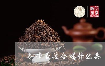 冬季最适合喝什么茶/2023041549259