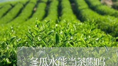 冬瓜水能当茶喝吗/2023032258605