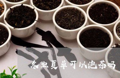 冬虫夏草可以泡茶吗/2023041679383