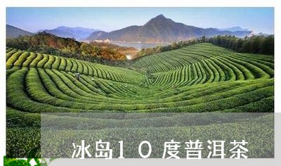 冰岛10度普洱茶/2023031734827