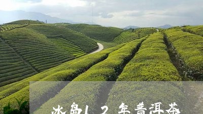 冰岛12年普洱茶/2023031714350