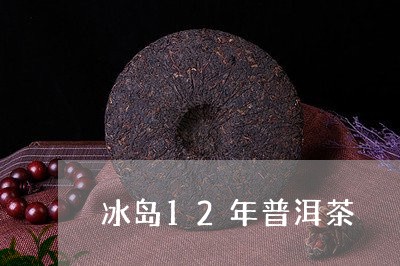 冰岛12年普洱茶/2023041316047