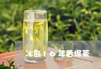 冰岛16年普洱茶/2023031755847