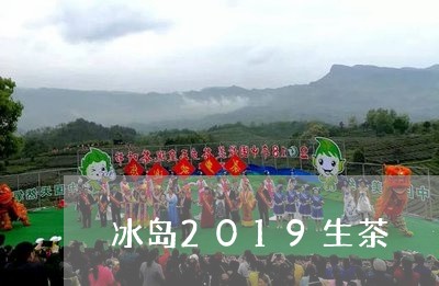 冰岛2019生茶/2023032865916