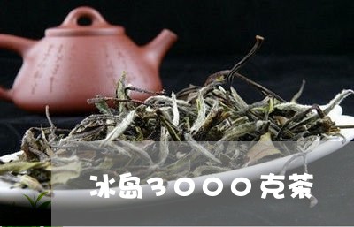 冰岛3000克茶/2023032866269