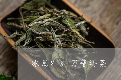 冰岛88万普洱茶/2023031797483