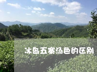 冰岛五寨汤色的区别/2023041582037