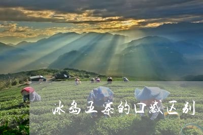 冰岛五寨的口感区别/2023041585037