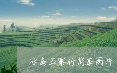 冰岛五寨竹筒茶图片/2023031950271