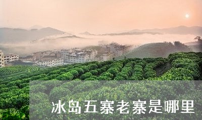 冰岛五寨老寨是哪里/2023041502735