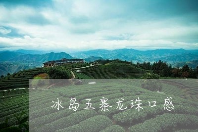 冰岛五寨龙珠口感/2023032332505