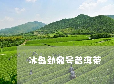 冰岛劲鼎号普洱茶/2023031745591