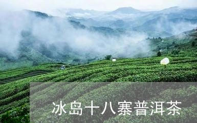 冰岛十八寨普洱茶/2023041236257