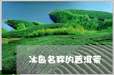 冰岛名称的普洱茶/2023041285159