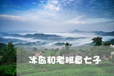 冰岛和老班章七子/2023032918592