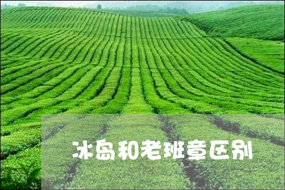 冰岛和老班章区别/2023032831503