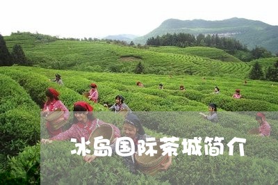 冰岛国际茶城简介/2023032856939