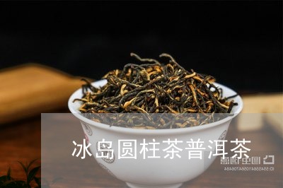 冰岛圆柱茶普洱茶/2023031756390