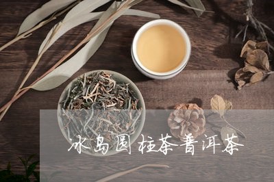 冰岛圆柱茶普洱茶/2023041342834