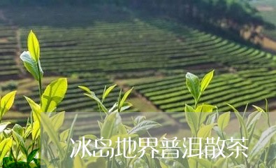 冰岛地界普洱散茶/2023033061823