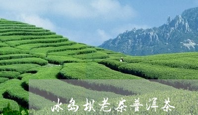 冰岛坝老寨普洱茶/2023041383961