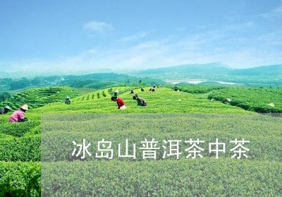 冰岛山普洱茶中茶/2023041342057