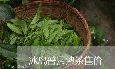 冰岛普洱熟茶售价/2023033026173