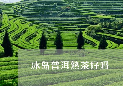 冰岛普洱熟茶好吗/2023033017581