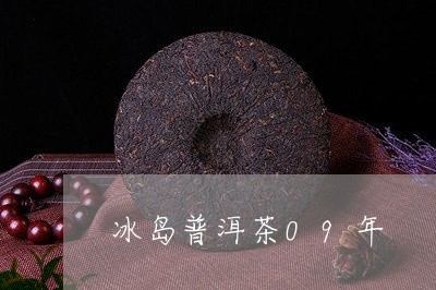 冰岛普洱茶09年/2023041333815